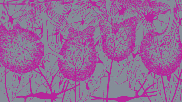 festivalgrafik